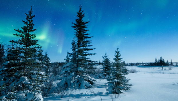 Paseo con raquetas de nieve bajo la aurora boreal