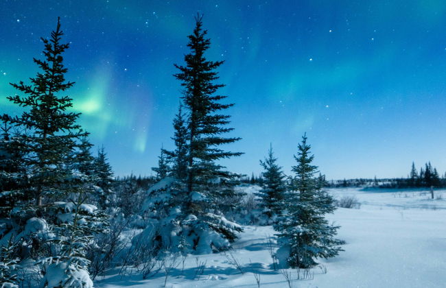 Paseo con raquetas de nieve bajo la aurora boreal - Foto 4