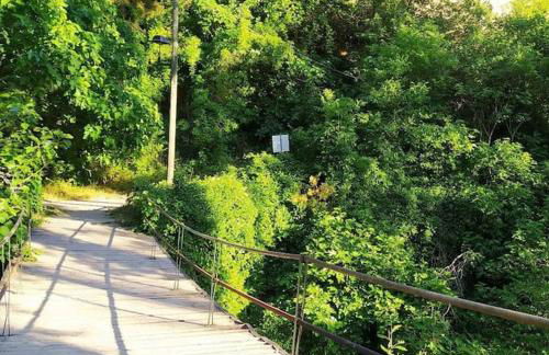 Las Casicas del Tío Ángel-A - Foto 17