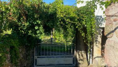 Casa do Carqueijo - Foto 5, Garden view