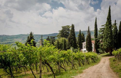 Massimago Wine Relais - Foto 36