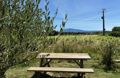 Le Petit Gîte - Foto 43