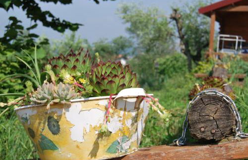 Agriturismo Cisogna - Foto 77