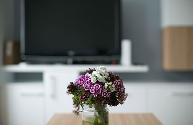 Apartment Kalemegdan - Photo 9