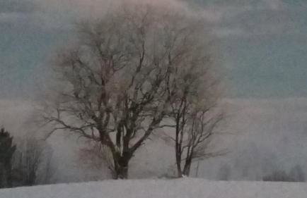 Dom z widokiem na Wierchy - panorama na Tatry - Traditional folk house - Foto 24