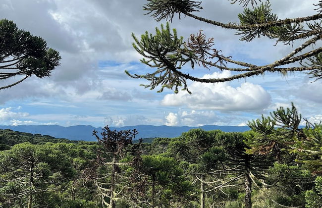 Bulawayo Lodge - Foto 25