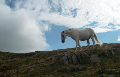 Casa Pirinea Ordesa - Foto 64
