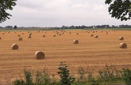 Orzechowy Dworek - Foto 22