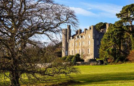 Oaktree Manor - BBQ, games rooms and pet friendly - Photo 36