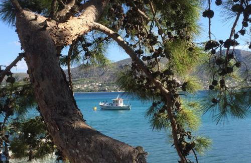 Beautiful lux Villa Ilias Salamina - Foto 21