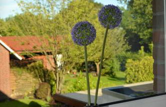 Ferienhaus Nikki 35528 - Foto 58