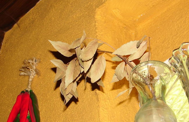 Magina Dream Pegalajar - Foto 54