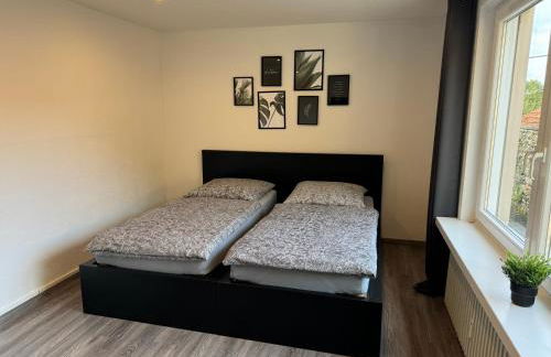 Ferienwohnung am See Dillich - Hunde willkommen - Eigener eingezäunter Garten - Ruhige Lage - Foto 8