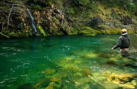 Pacific Seaside House by Pebble Beach & Redwoods - Foto 46