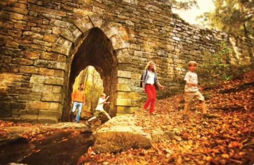 DwtnlParkPasslPizzaOvenlFirePitlYouTubeTVlKinglEV - Foto 41