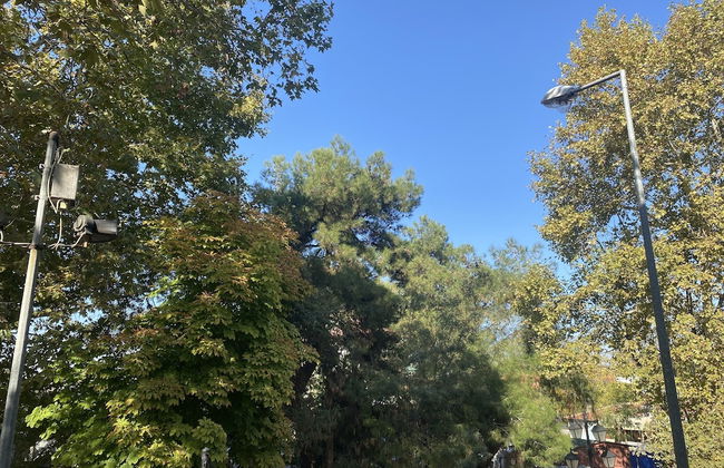 Edirne Adres Karaağaç - Foto 19