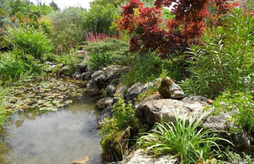 Le Fer en Cèze - Foto 18