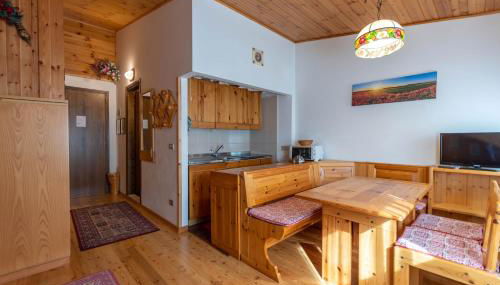 Petit Arnica - Foto 5