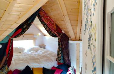 Ophrys ha Melenig - Foto 31