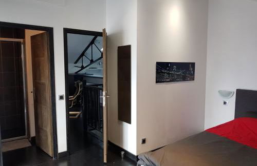 APPARTEMENT LOFT CROIX LILLE - Foto 11