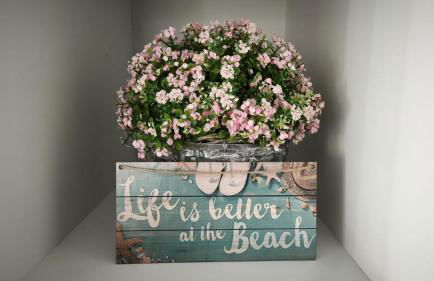 Estudio en la playa - Foto 19