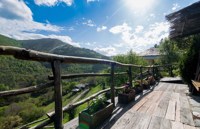 El Bosque de las Viñas - Foto 77