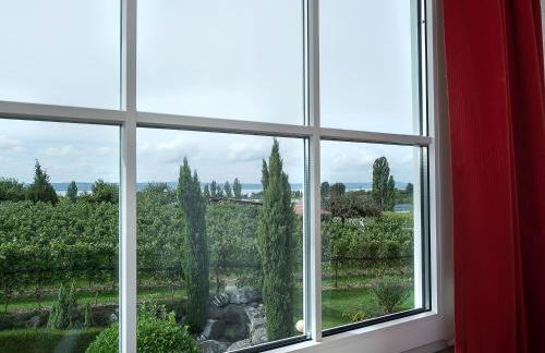 Obst- und Ferienhof Gomeringer - Foto 47