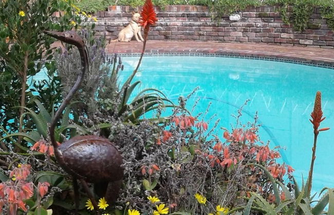 Cozy Quirky Cottage - Foto 12