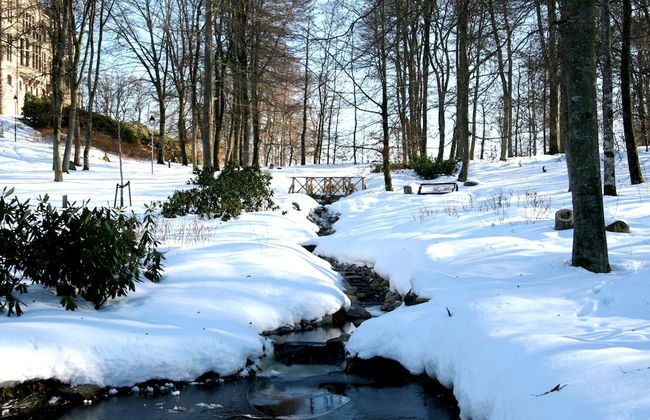 Teleborgs Slott - Foto 37