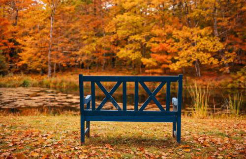 Bear House Catskills Cabin- Private Pool, Pond, Hot Tub, Dog-Friendly Sleeps 9 Adults - Foto 28