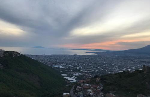 Or Son Sano - Foto 42