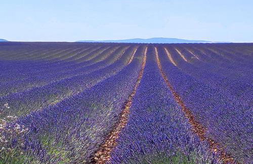 studio meublé classé 2 étoiles - 30m² - Foto 15