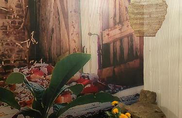 Haus Auenland - Photo 31