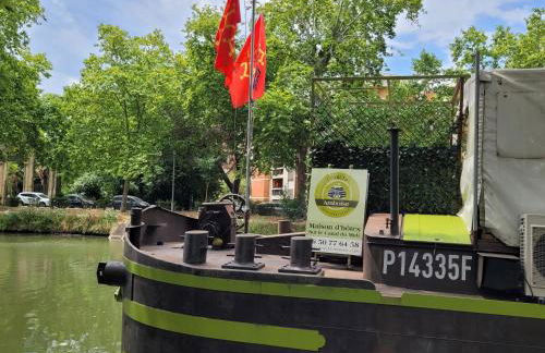 Péniche Amboise Maison d'Hôtes Flottante Toulouse Centre - Foto 58