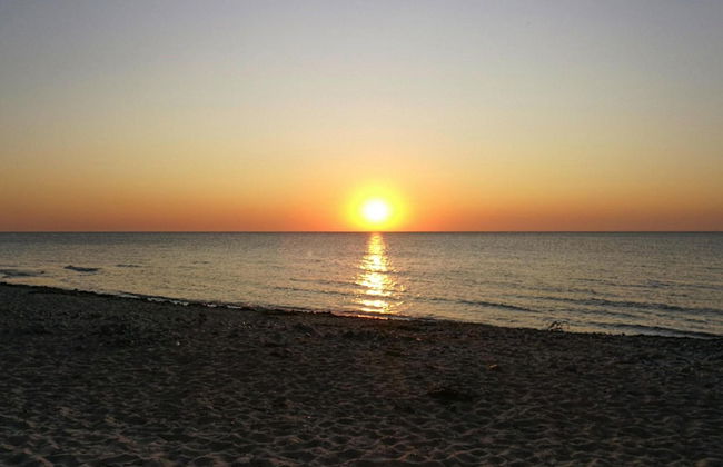 Ferienhaus Klint in Lancken - Foto 30