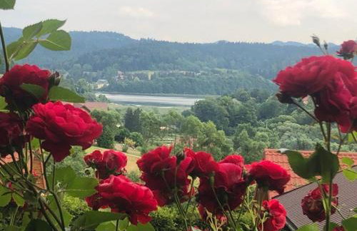 Solina - Jezioro Solińskie - Domki - Photo 20