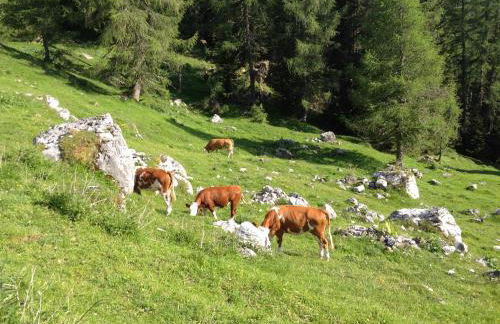 Casa al Moro - Foto 42