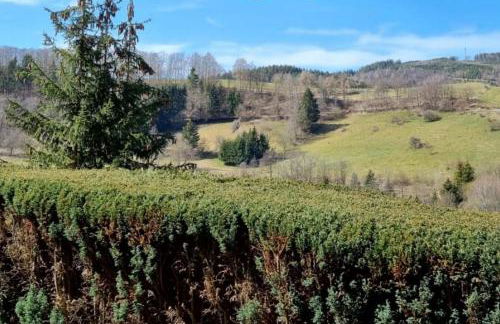 Ferienwohnung Aartalblick Willingen - Foto 22