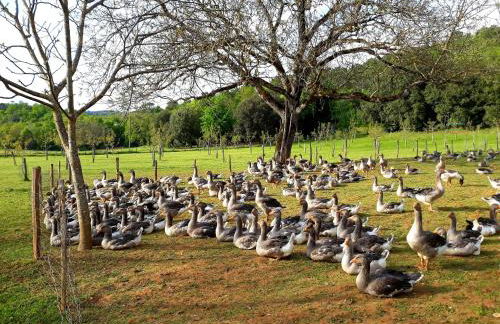GÎTE DU BOUYSSOU - Foto 39