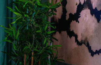 Le Jardin Suspendu - Foto 2