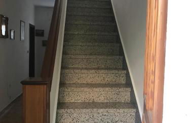 Tra gli ulivi - Foto 21