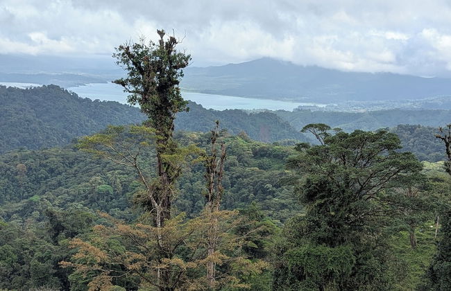 Campos de Oro Wilderness Lodge - Photo 36