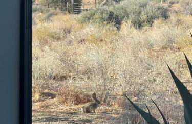 Poppy Ranch Pioneertown - Foto 66