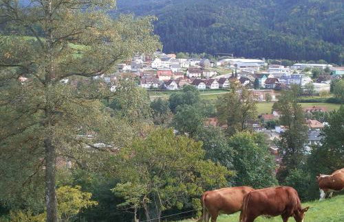 Sonnenterrasse - Foto 18