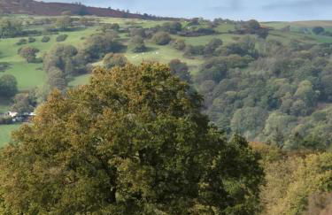 The Old Barn - Photo 20