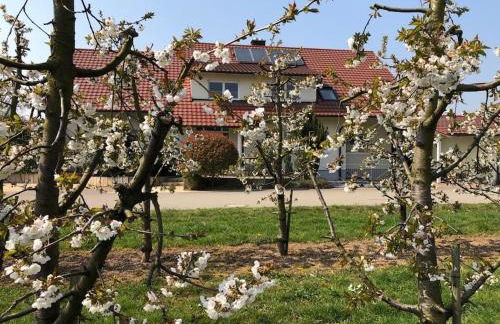 Ferien - Apartment umgeben von Obstplantagen - Foto 13