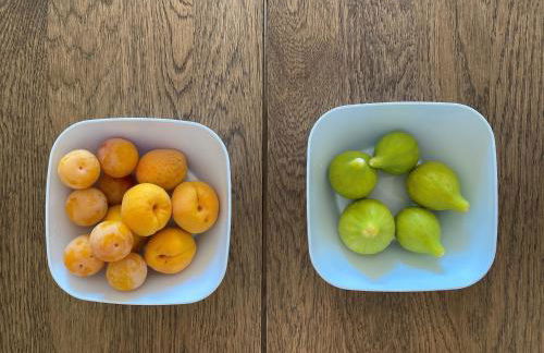 VILLA VITA - Foto 50