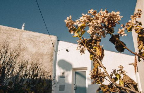 Casa da Figueira - Guest House - Foto 1