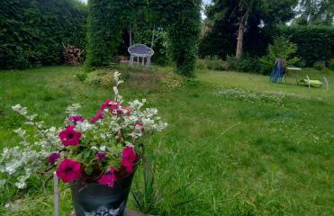 Agroturystyka Magnolia - Foto 23