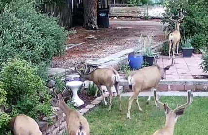 3bdmid-century Modernhot Tub, Grill, Close to DT - Foto 72